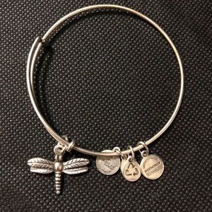 Alex and Ani dragonfly bracelet